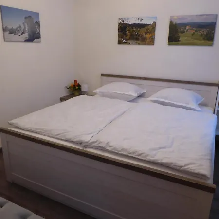 Haus Am Hang Apartment